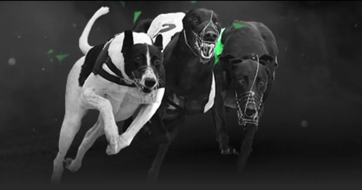 展望,近在咫尺,国足奋力冲,皇冠,Crown,皇冠官网,皇冠体育官网,皇冠体育下载,皇冠APP