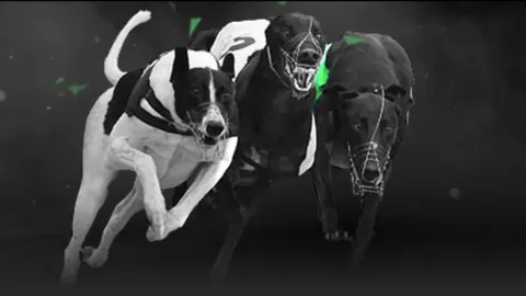 展望：近在咫尺，U20国足奋力冲刺世青赛